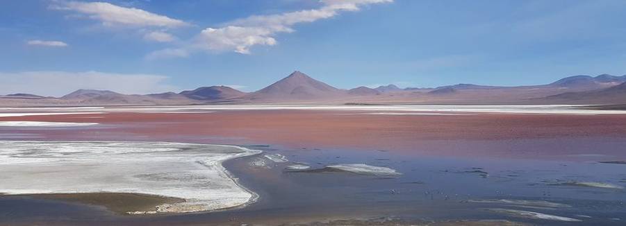 Laguna Colorada in Bolivia