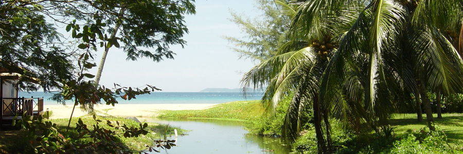 Palmbomen op Tioman eiland