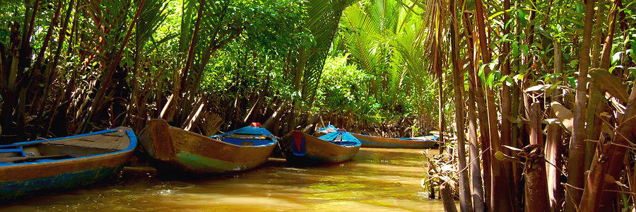 Varen door de Mekong delta in Vietnam