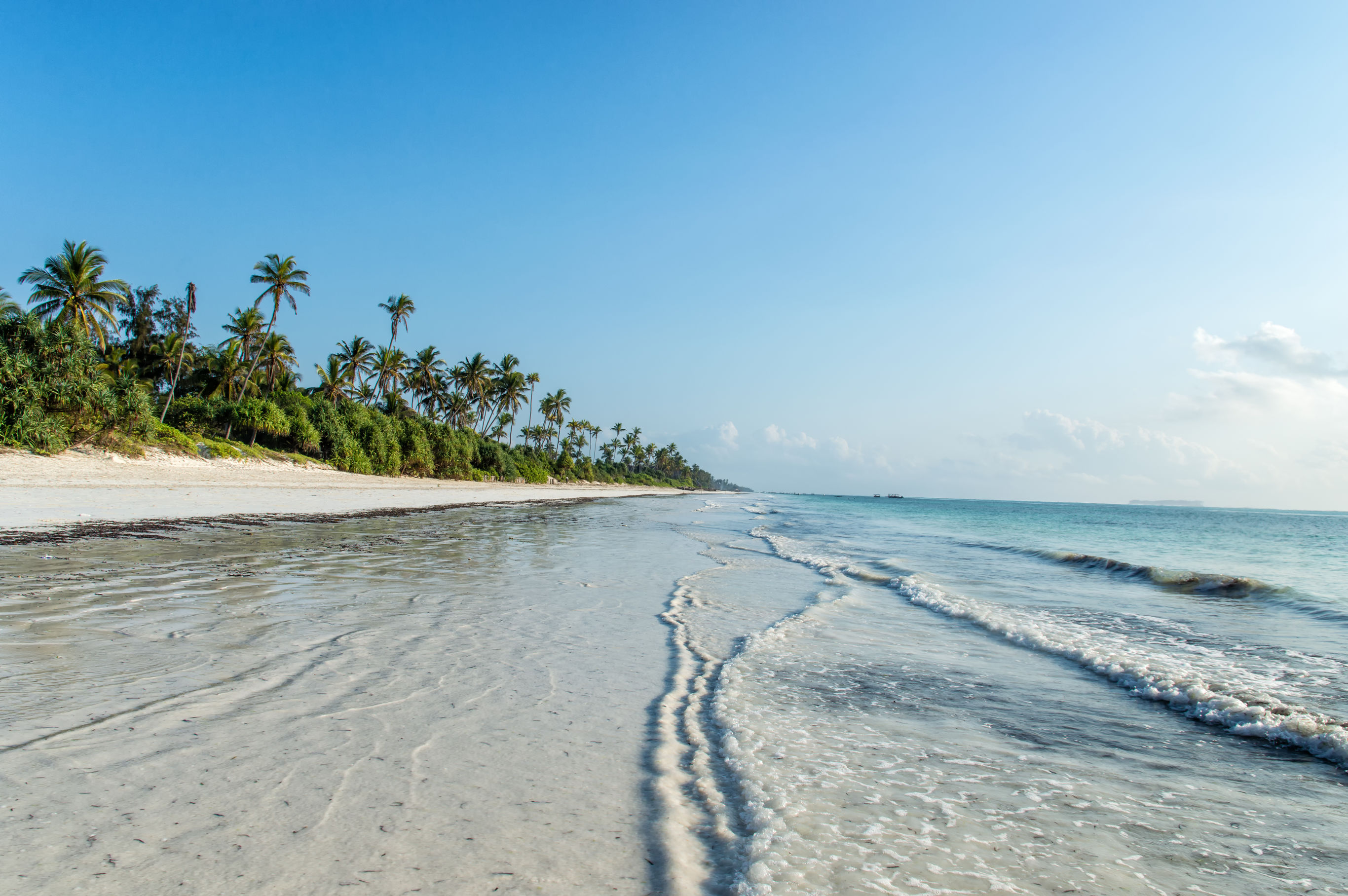 Bouwsteen Tanzania Hagelwitte stranden van Zanzibar