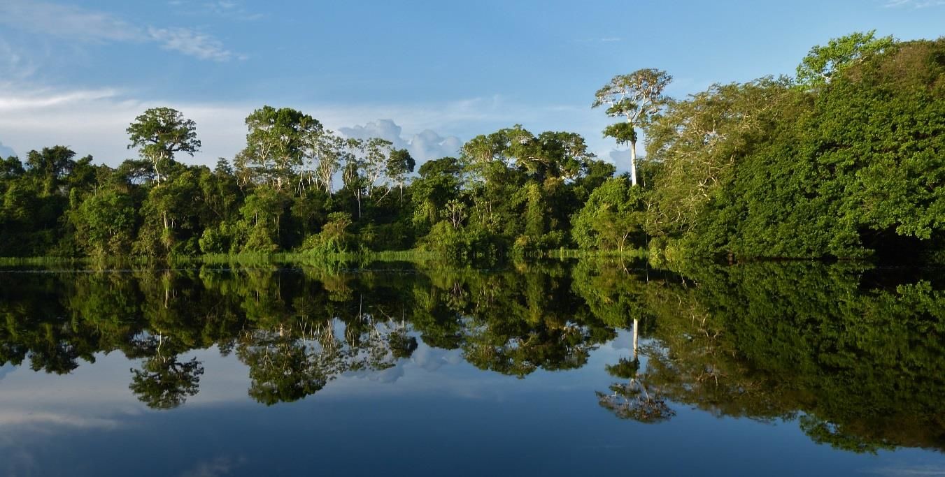 Bouwsteen Colombia Junglebeleving Amazone