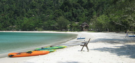 Bouwsteen Borneo Tropisch toetje Pulau Gaya