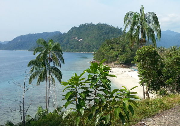 Rondreis Sumatra met cultuur, jungle en strand