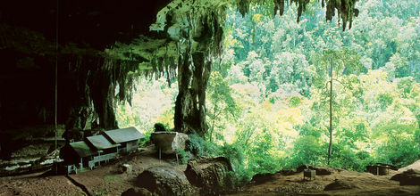 Bouwsteen Borneo Grotten in tropisch regenwoud