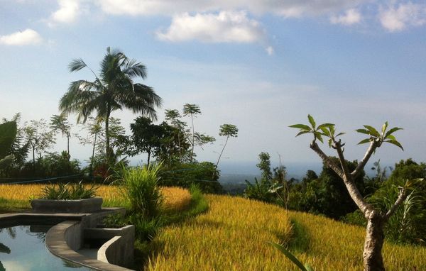 Bouwsteen Bali Onontdekt paradijs van Sambangan