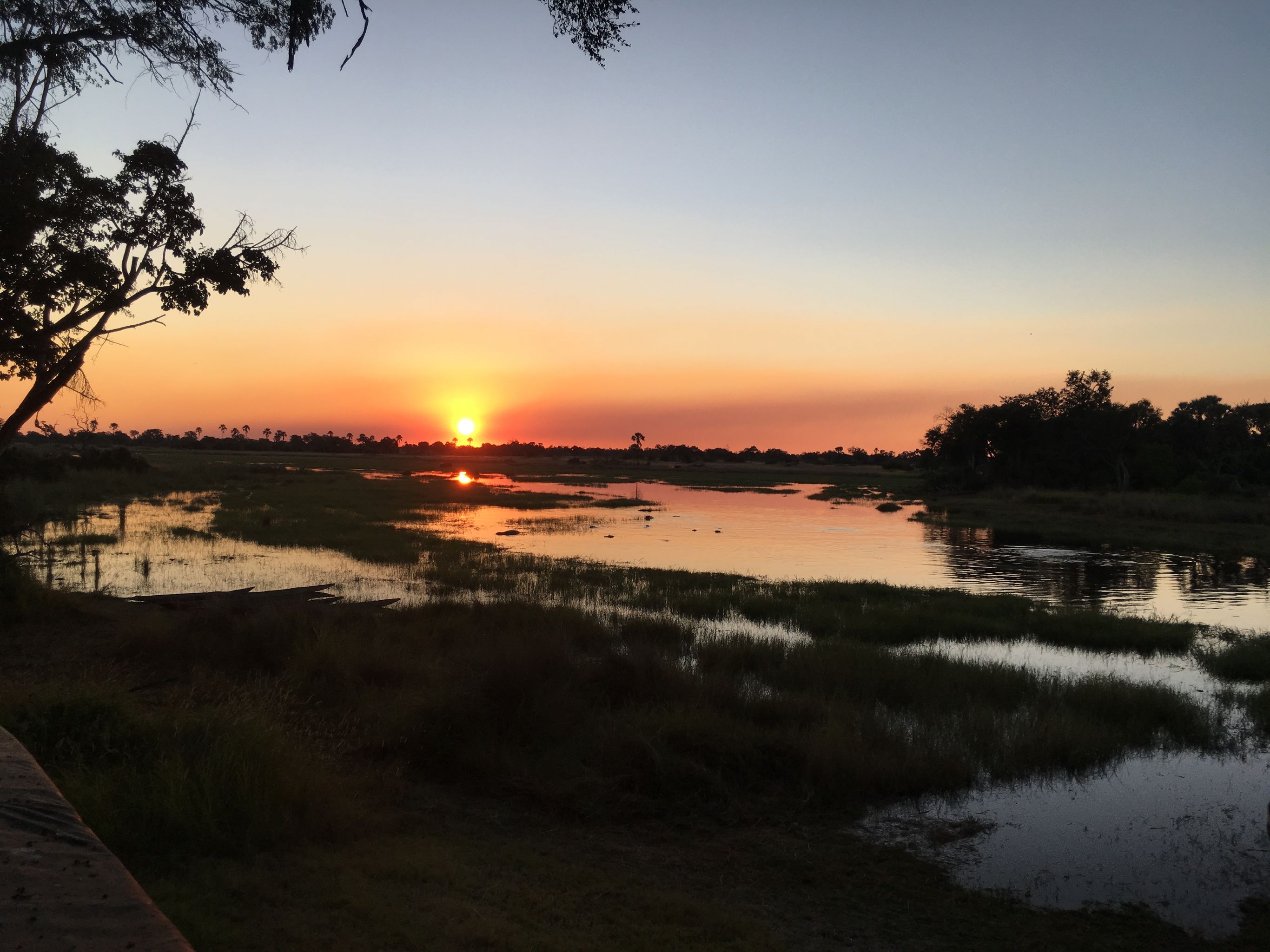 Rondreis Botswana: Buitengewoon Botswana