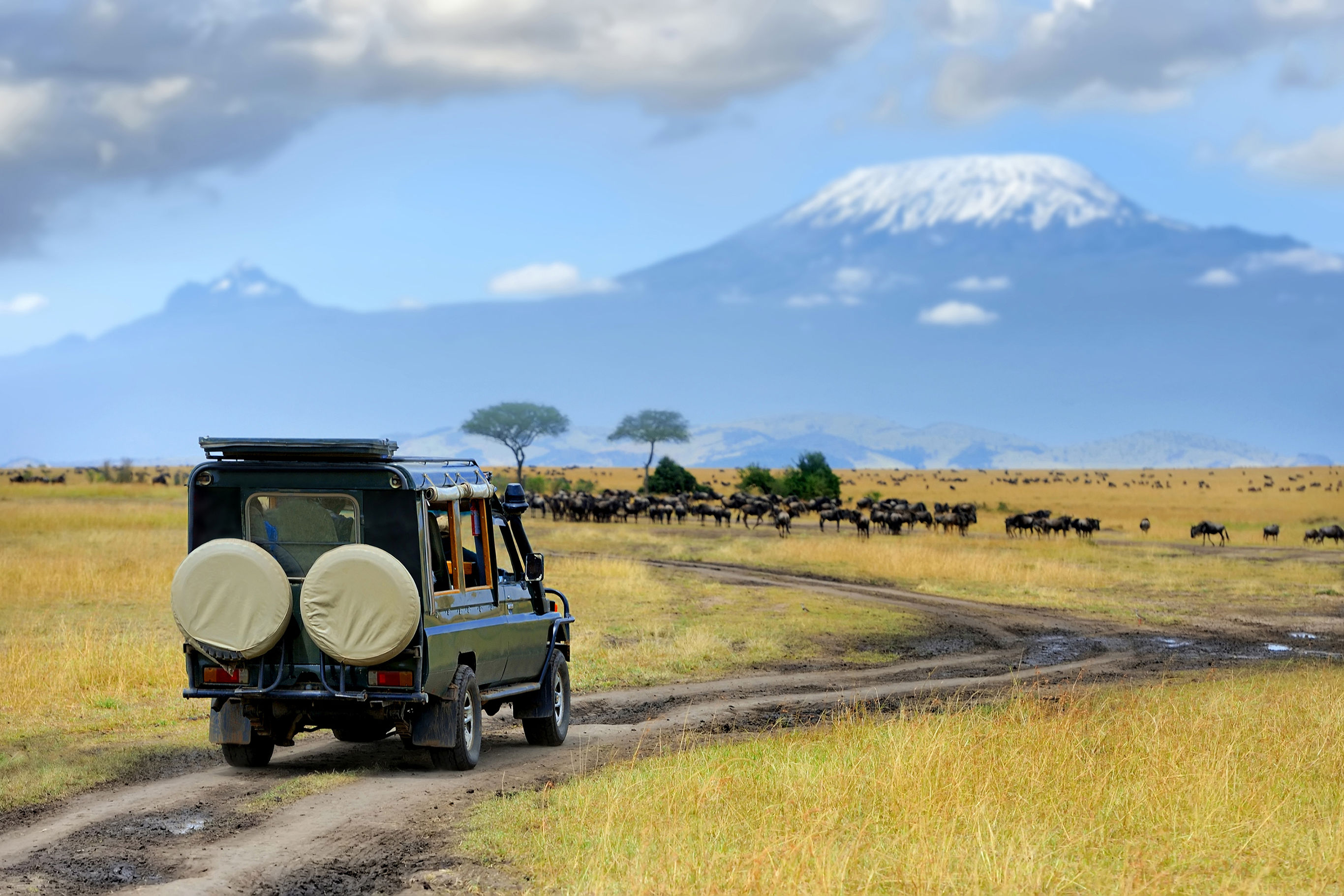 Combinatie rondreis Tanzania & Kenia