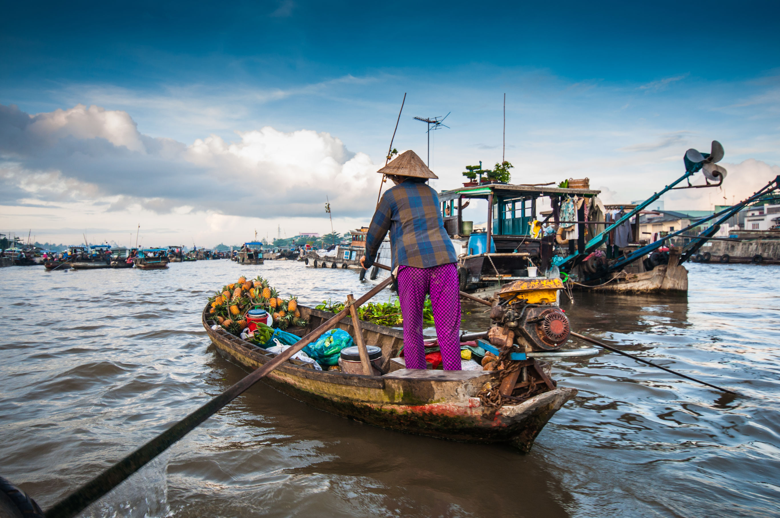 Bouwsteen Vietnam Diep de Mekongdelta in