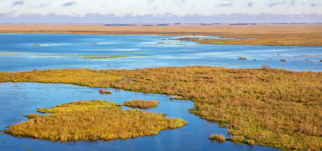 Bouwsteen Argentinië Wetlands Esteros del Iberá