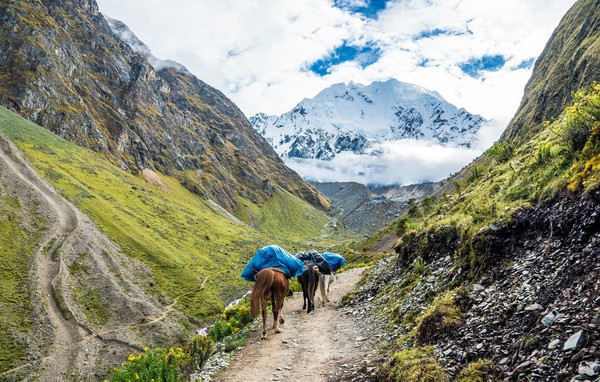 Bouwsteen Peru Salkantay Inca trail