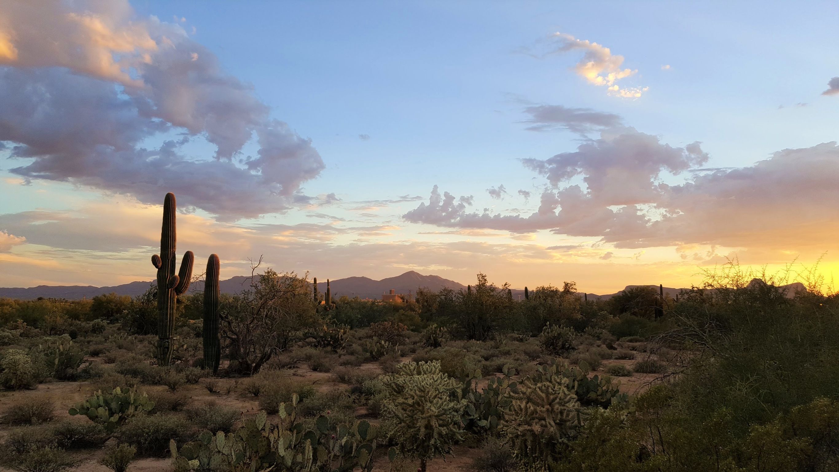 Bouwsteen VS Ranchverblijf in Tucson